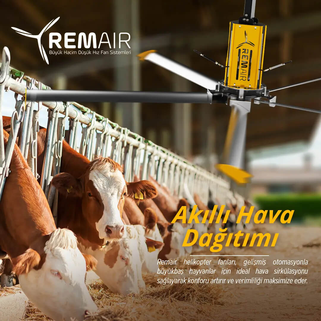 remairfan enerji tasarruflu agır havalandırma